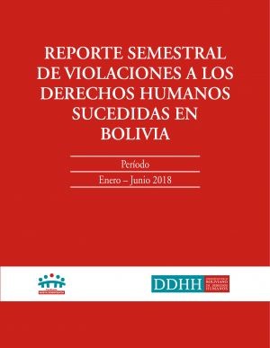 Informe semestral sobre violaciones a los DDHH
